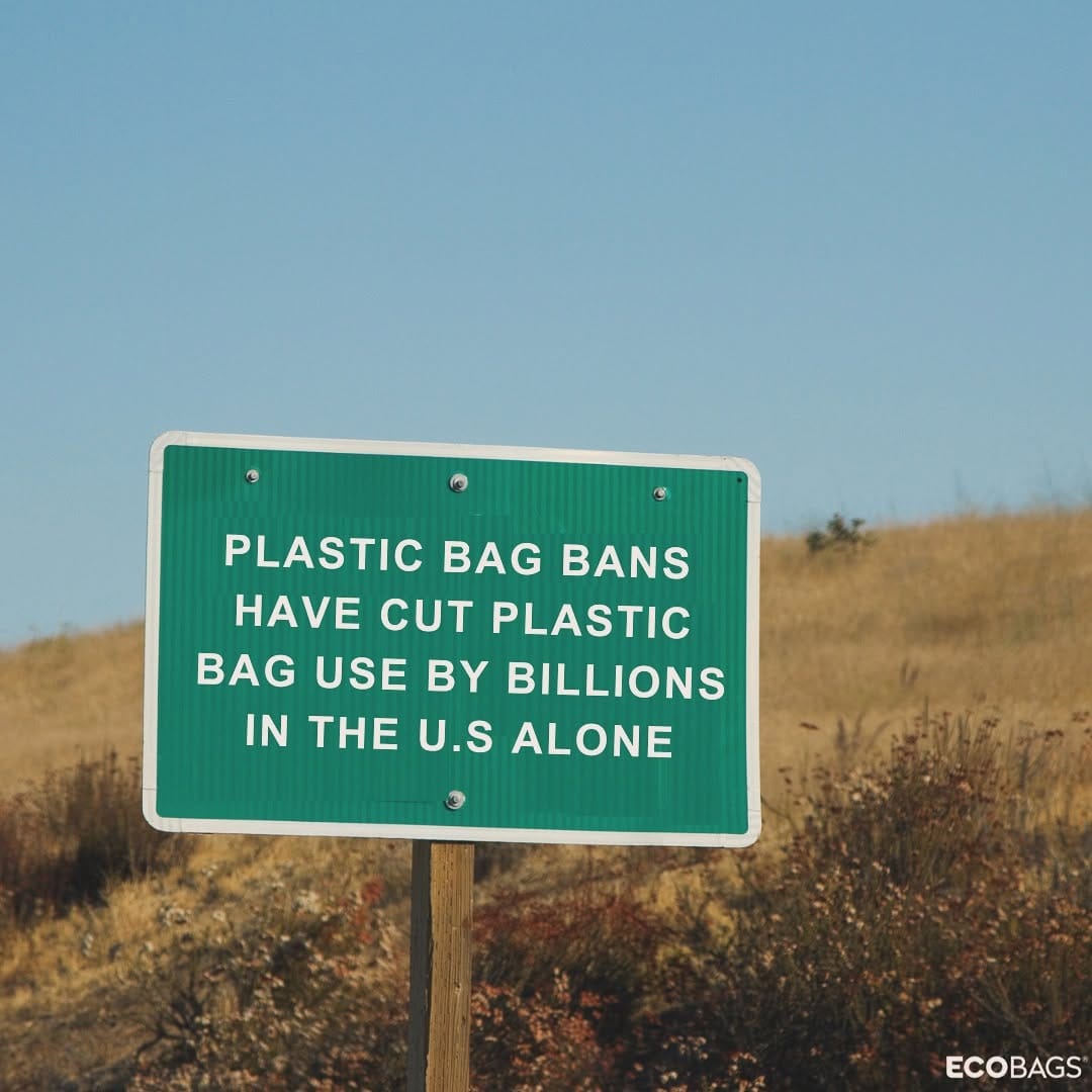 Post 10 by ECOBAGS on Instagram (image)