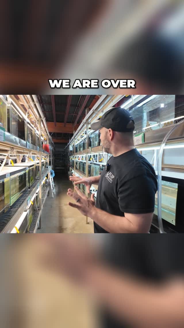 Post 2 by @flipaquatics on Instagram (video)