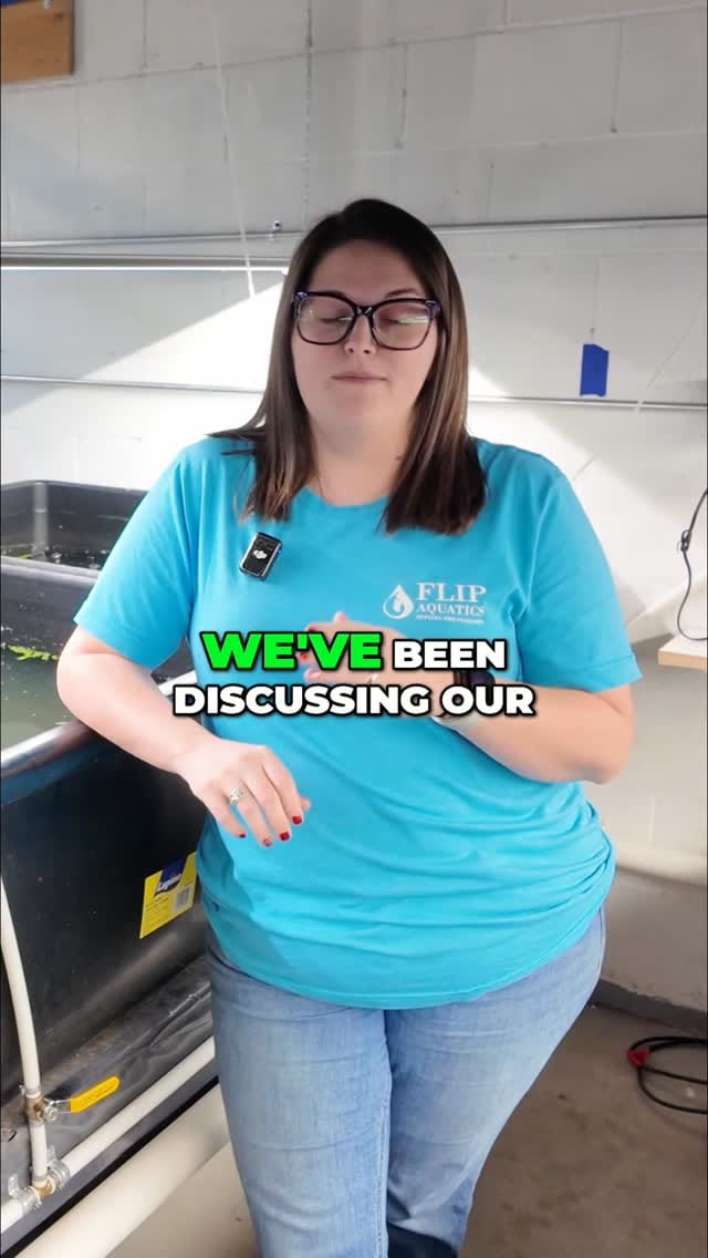 Post 3 by @flipaquatics on Instagram (video)