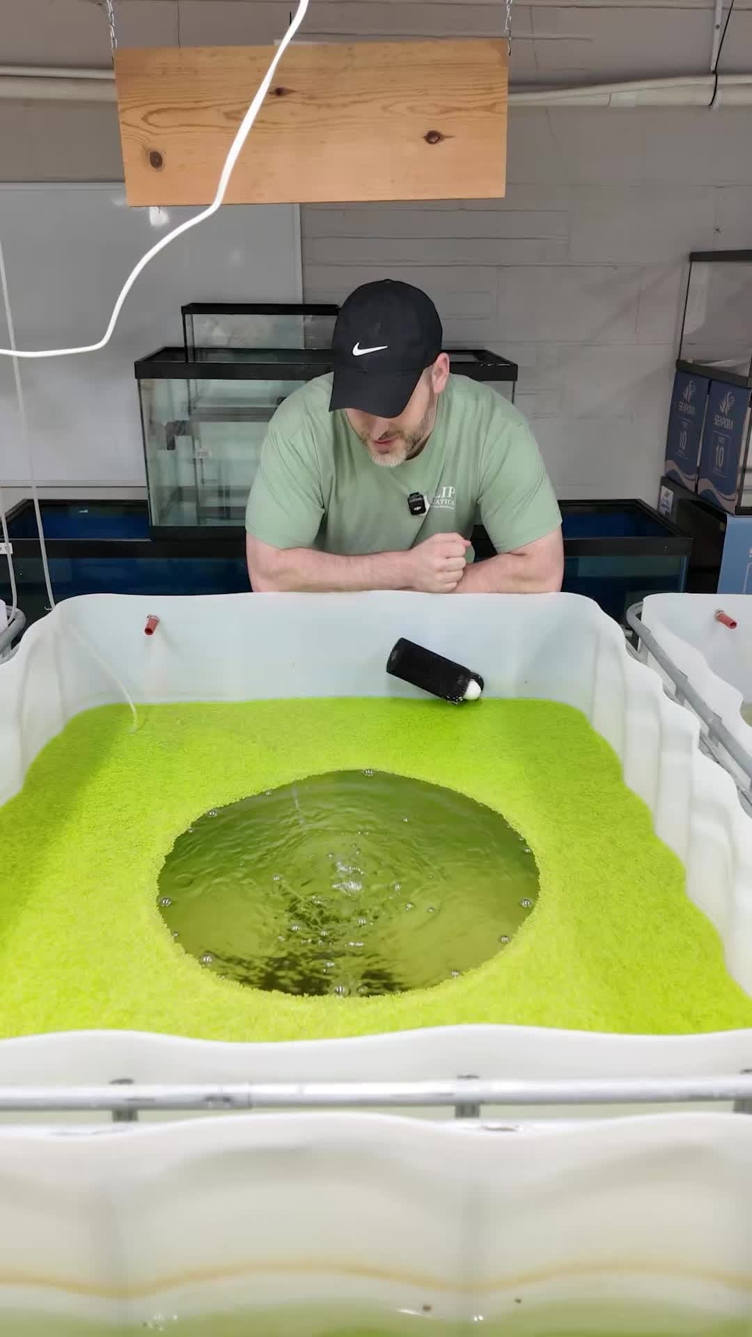 Post 8 by @flipaquatics on Instagram (video)