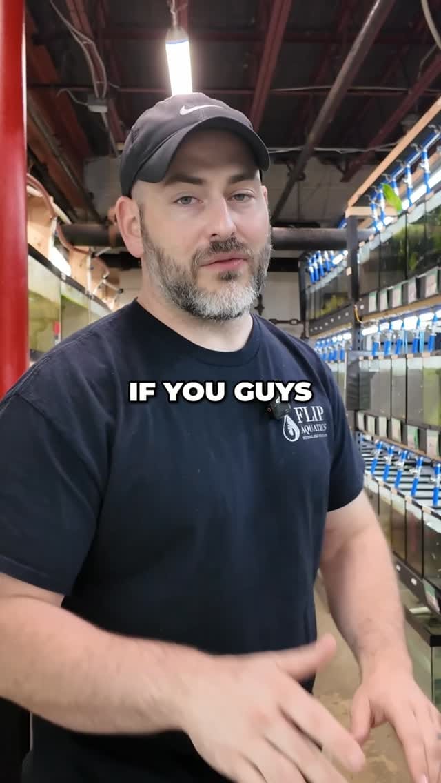 Post 1 by @flipaquatics on Instagram (video)