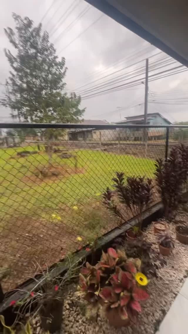 Post 2 by Rico Jones on Instagram (video)