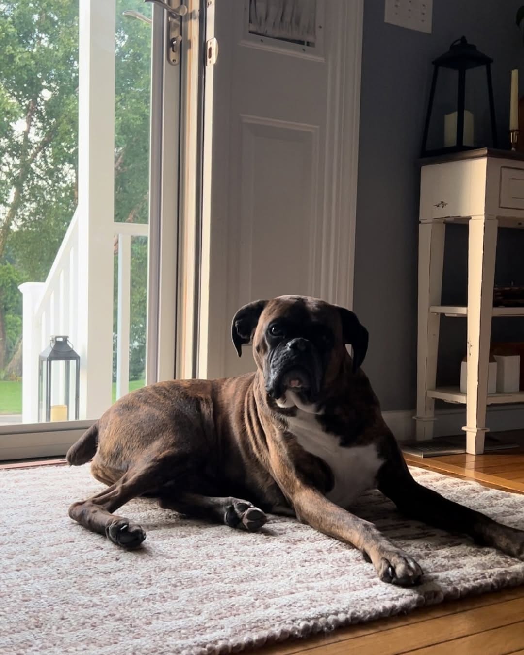 Post 10 by Susan Maz on Instagram (image)