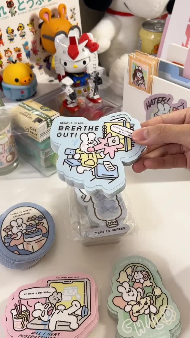 Post 3 by The Chubby Bunny Brand on Instagram (video)