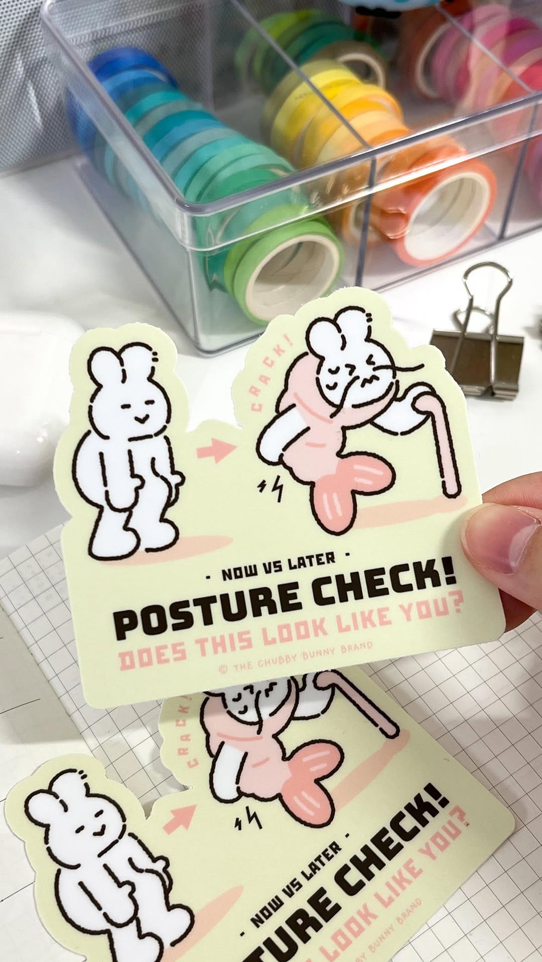 Post 2 by The Chubby Bunny Brand on Instagram (video)