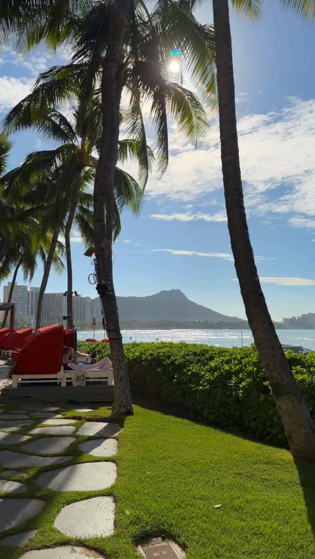 Post 4 by Big mahalo Honolulu on Instagram (video)