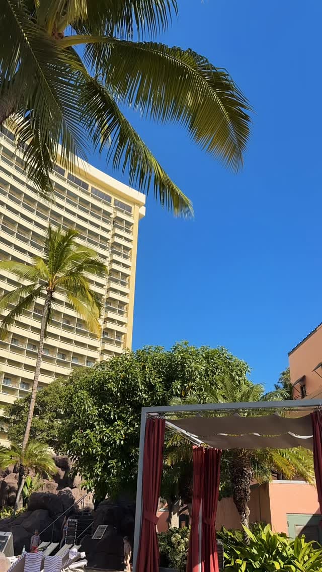 Post 8 by Big mahalo Honolulu on Instagram (video)