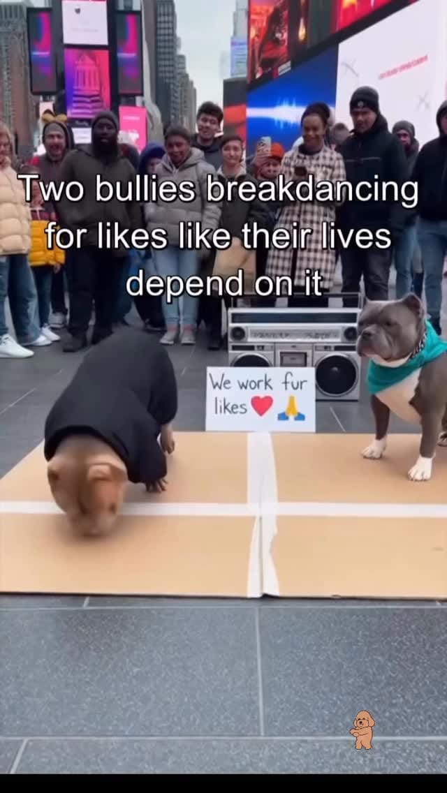 Post 1 by All City Paint on Instagram (video)