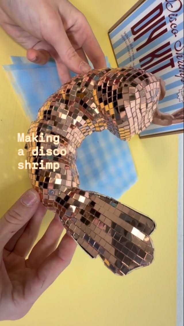Post 3 by Sofie Berarducci on Instagram (video)