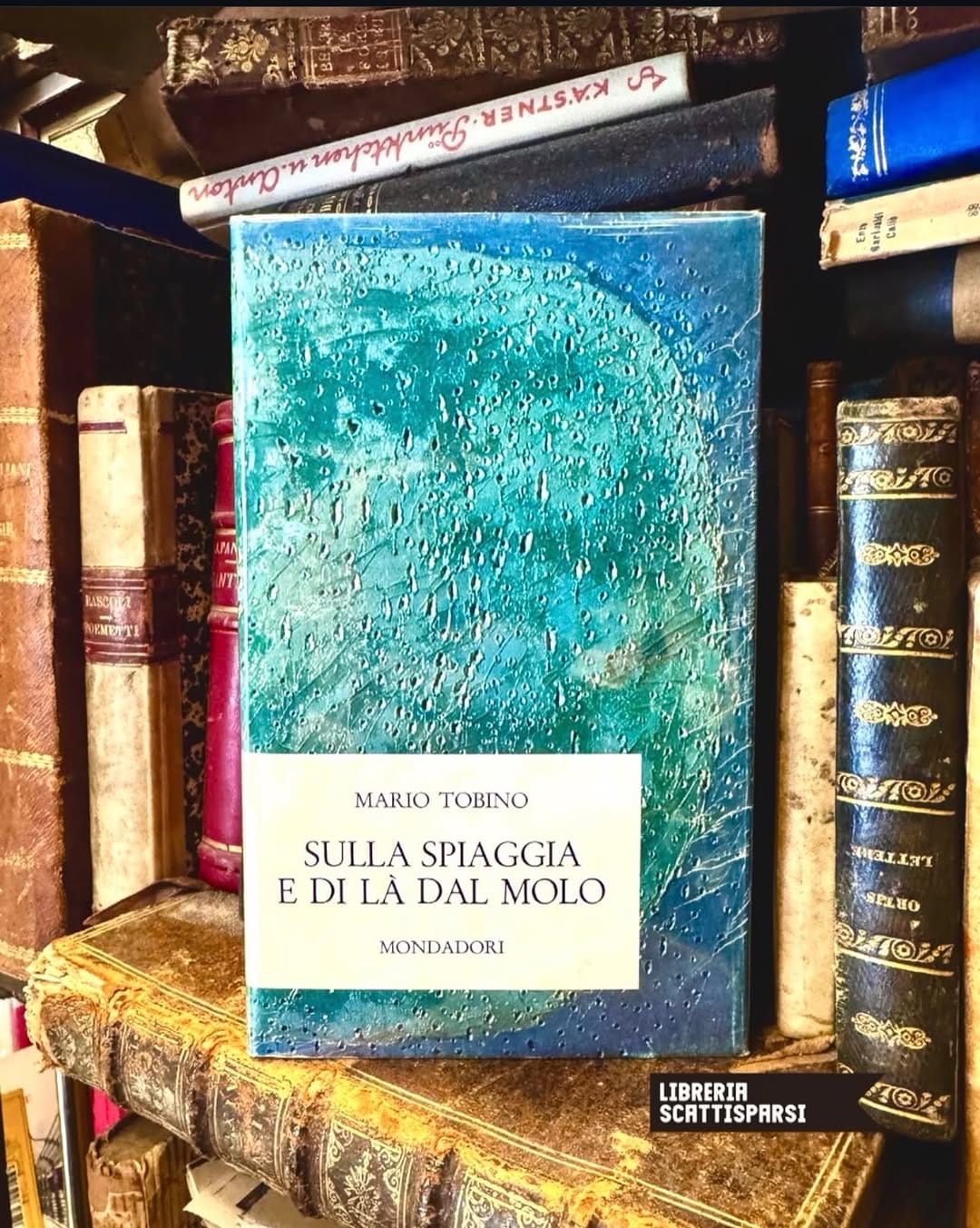 Post 5 by Libreria Scattisparsi on Instagram (image)