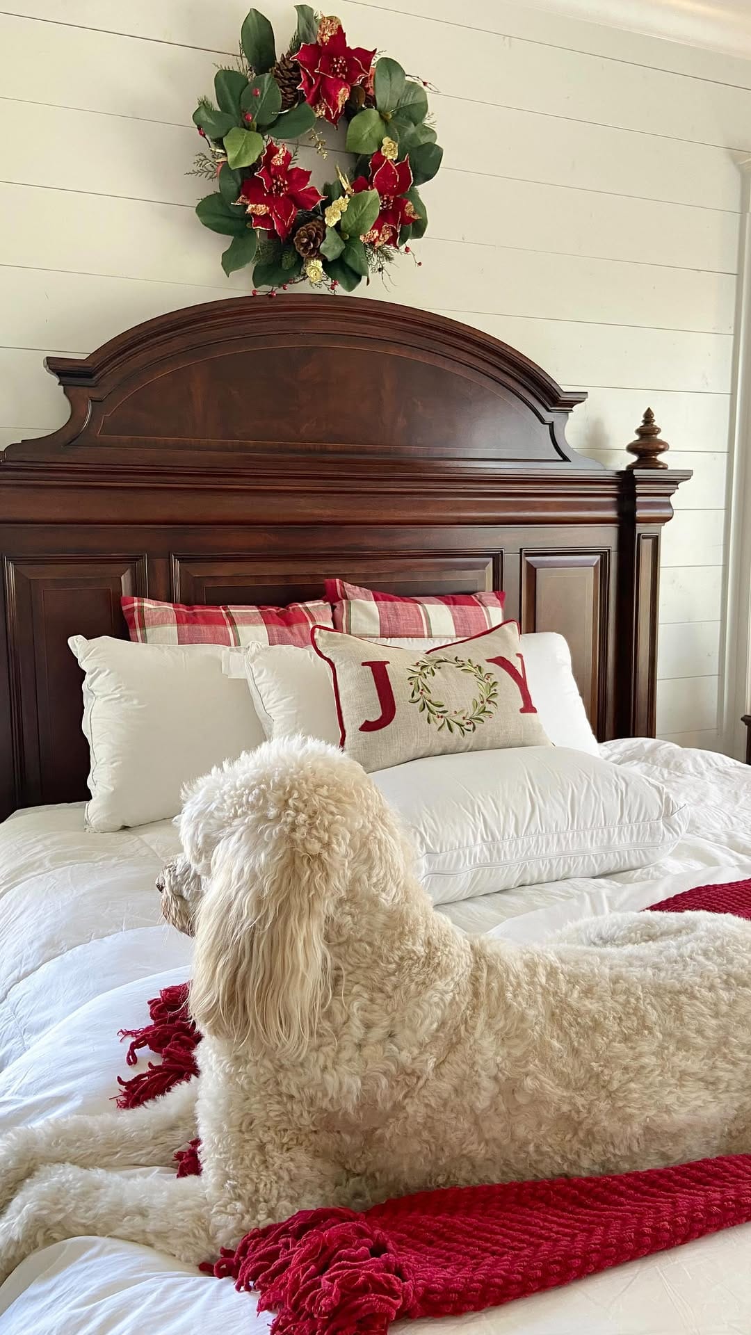 Post 10 by Kim Fiveash• Magnolia Lane Cottage on Instagram (video)
