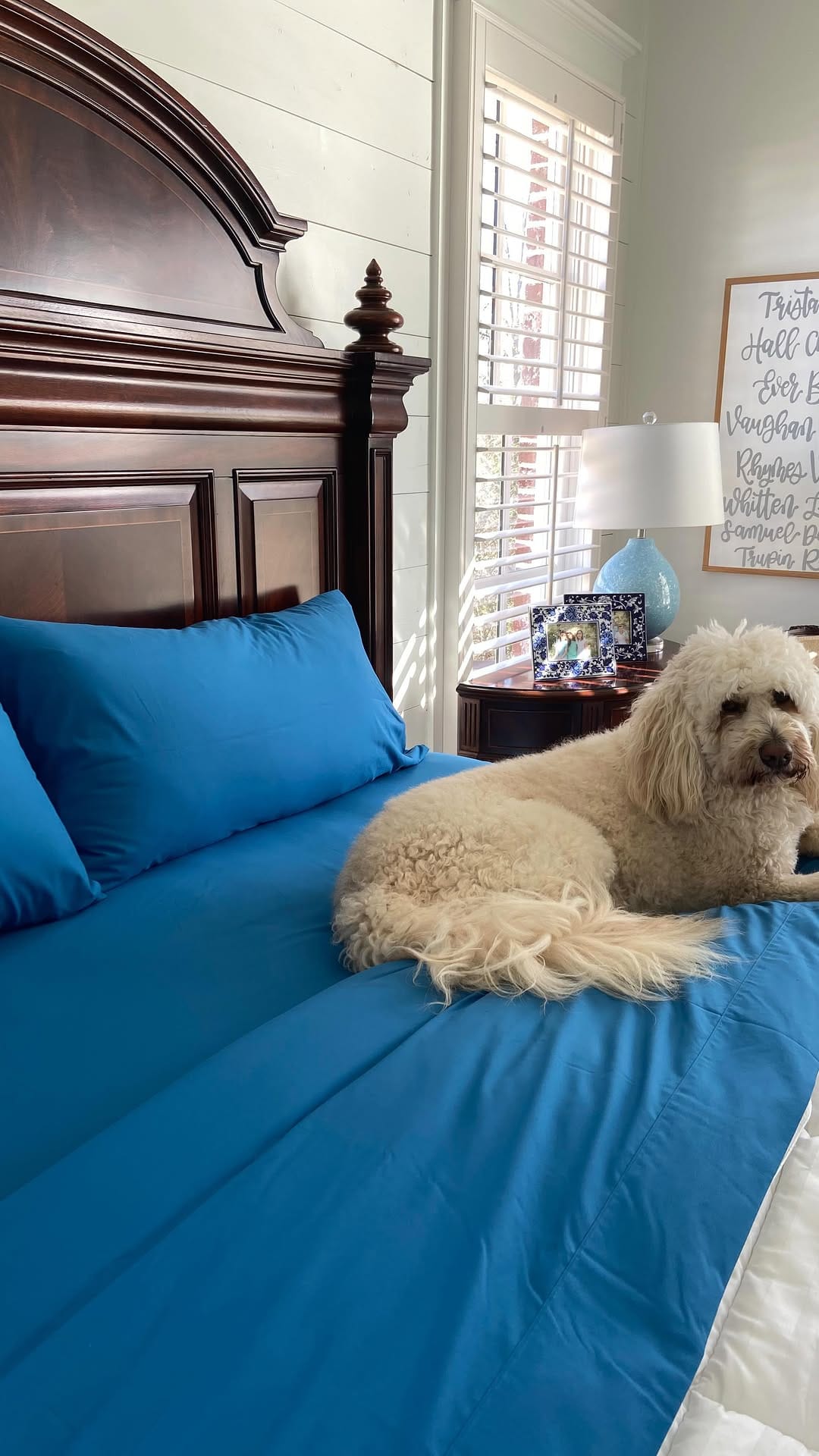 Post 6 by Kim Fiveash• Magnolia Lane Cottage on Instagram (video)