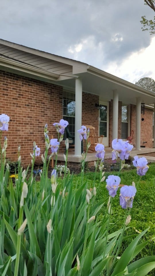 Post 9 by Sandy Howell Home on Instagram (video)