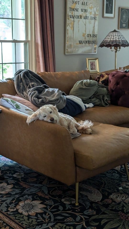 Post 3 by Sandy Howell Home on Instagram (video)