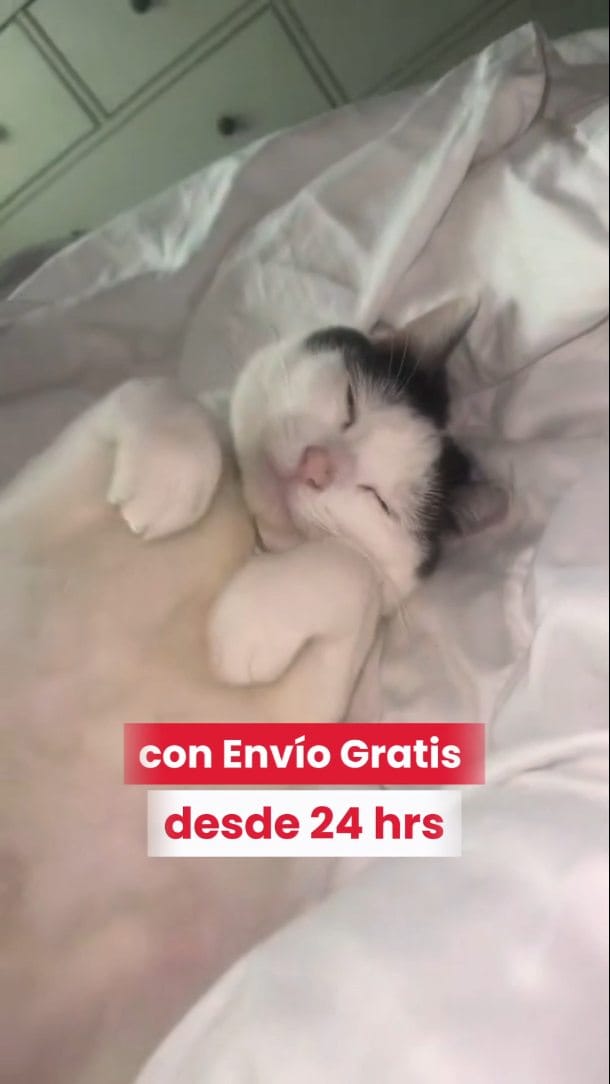Post 9 by Distribuidora Lira | Alimento para mascotas 🐾 on Instagram (video)