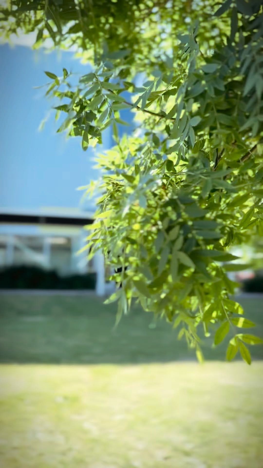 Post 6 by Texas Power Bars ®️ on Instagram (video)