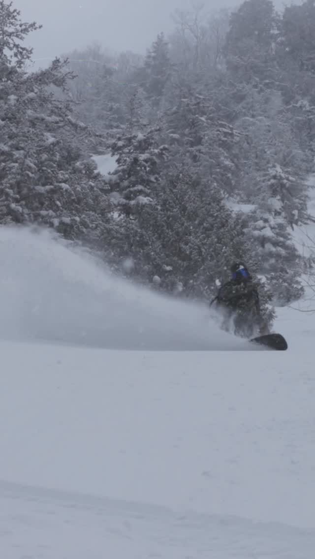Post 2 by Deus Ex Machina Japan デウス ジャパン on Instagram (video)