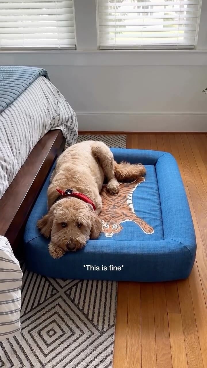 Post 8 by Mike & Garrett on Instagram (video)