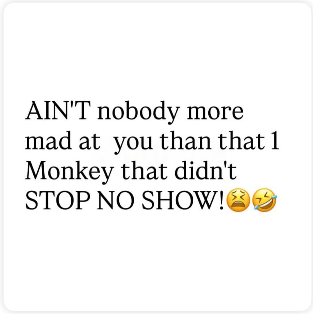 Post 5 by FAB FLY FANCY on Instagram (image)
