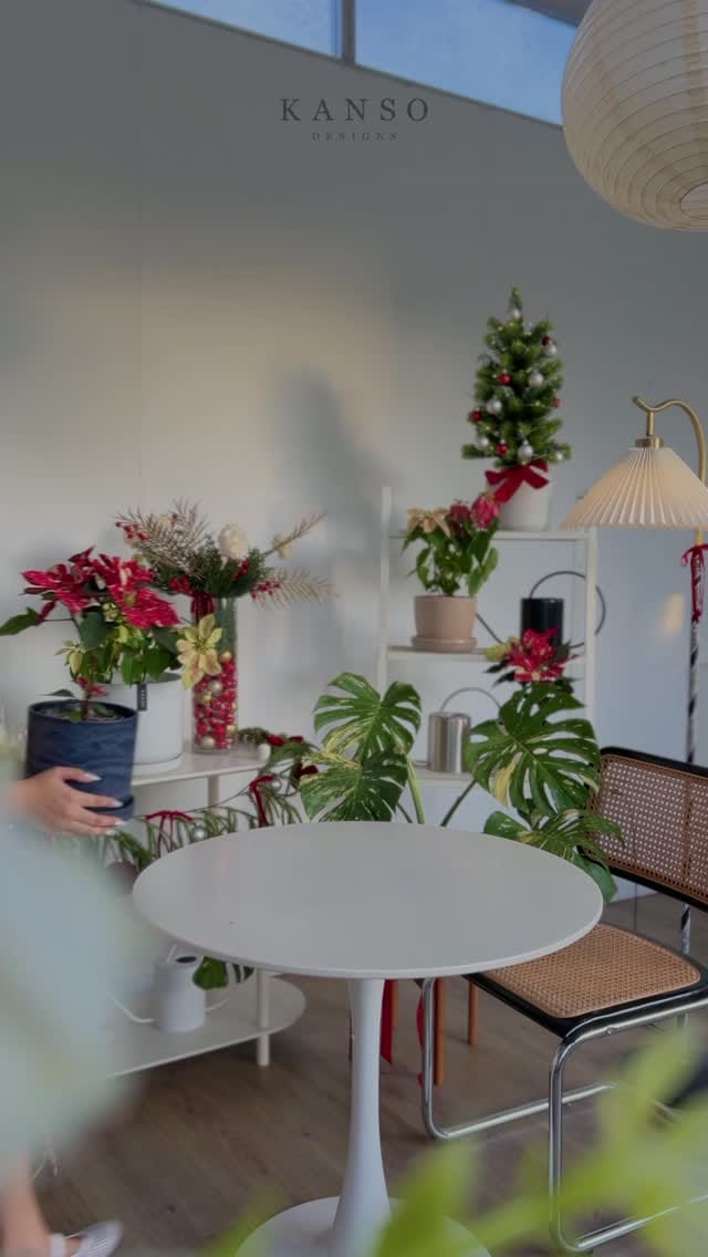 Post 5 by 🌱K A N S O on Instagram (video)