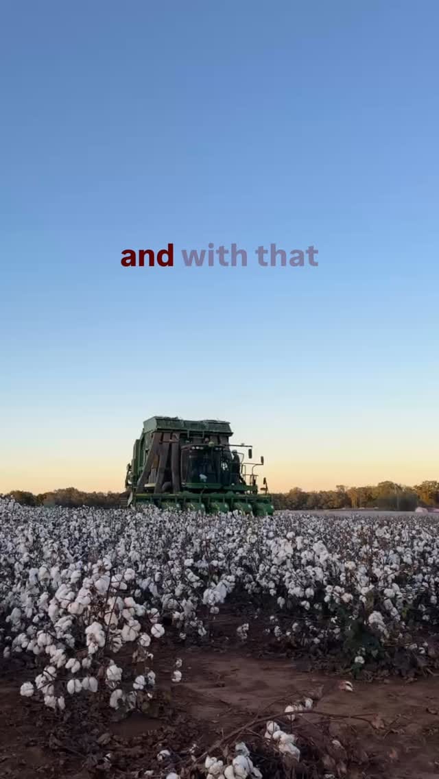 Post 6 by Red Land Cotton on Instagram (video)