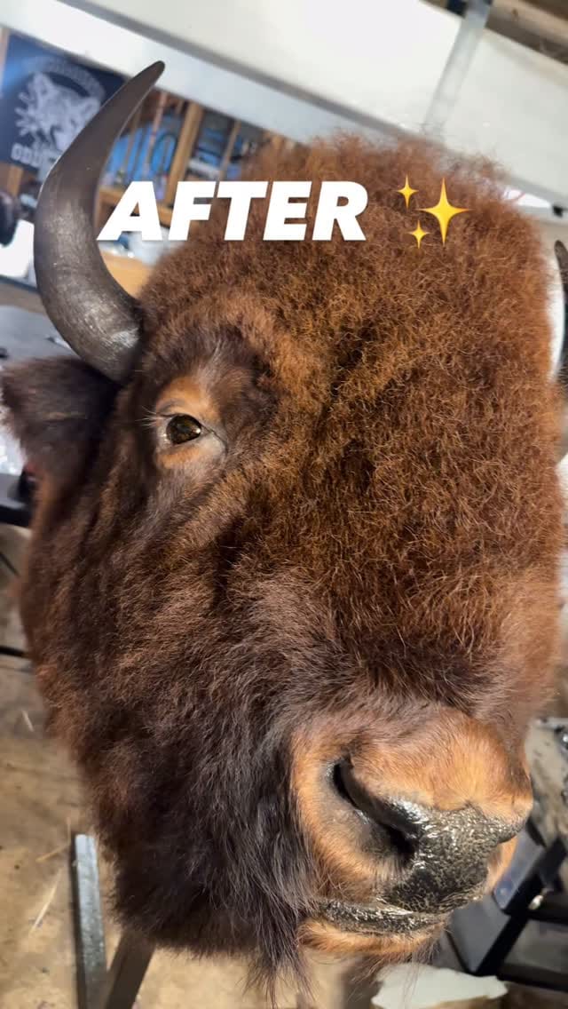 Post 4 by Rest in Pieces™ on Instagram (video)