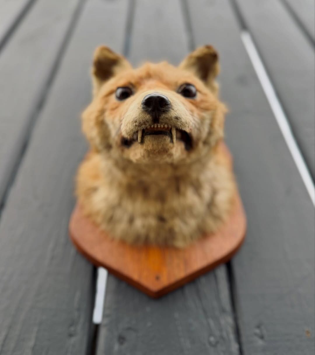 Post 5 by Rest in Pieces™ on Instagram (carousel)