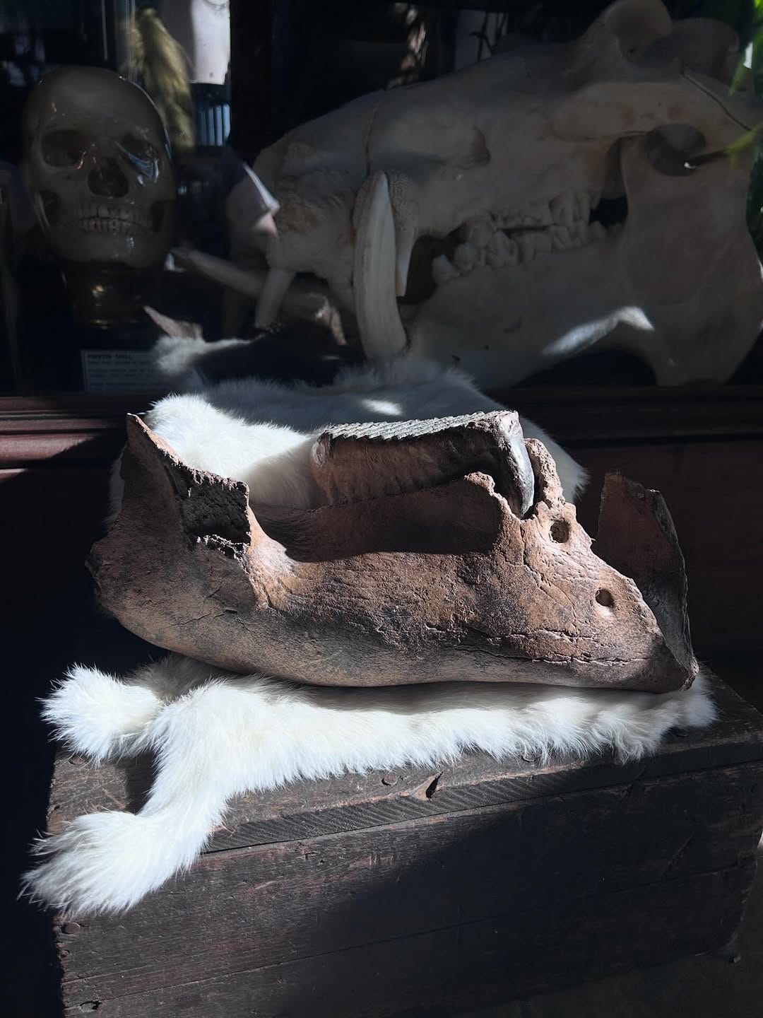 Post 6 by Rest in Pieces™ on Instagram (carousel)