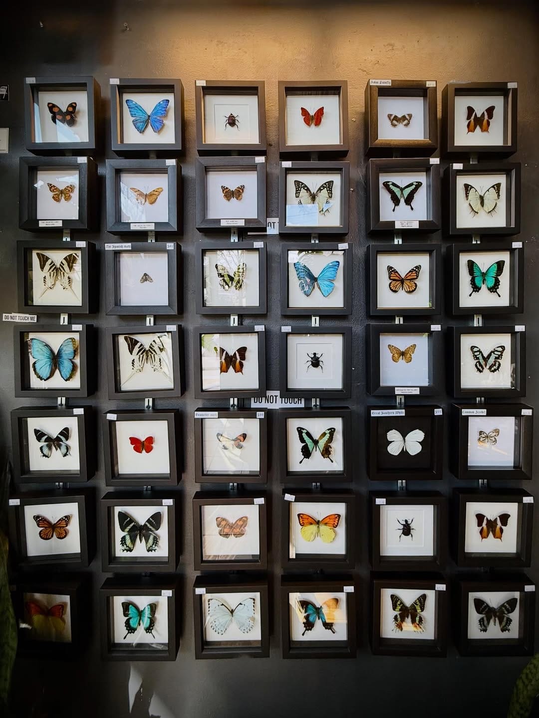 Post 2 by Rest in Pieces™ on Instagram (image)