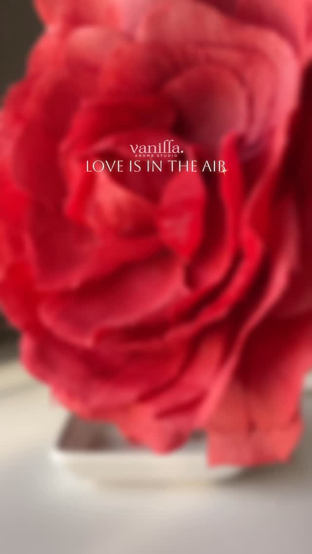Post 3 by Vanilla | Home fragrance & decor on Instagram (video)