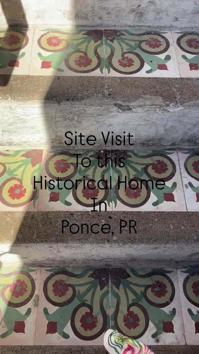 Post 6 by Lorena Maria Segura Chardon on Instagram (video)
