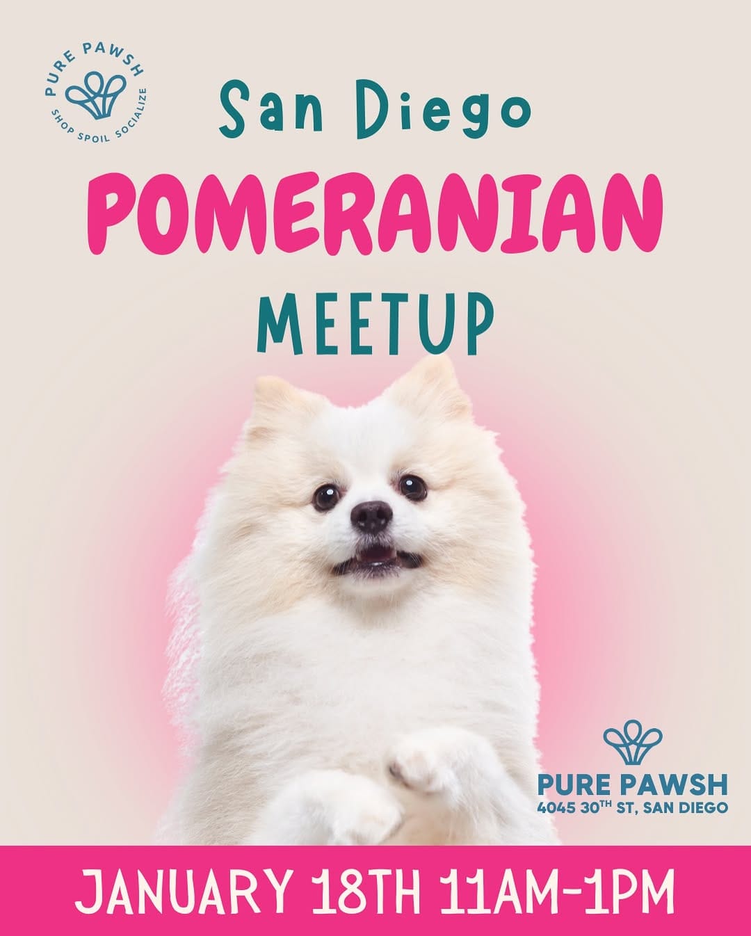 Post 1 by Pure Pawsh on Instagram (image)