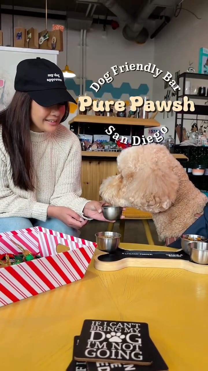 Post 2 by Pure Pawsh on Instagram (video)
