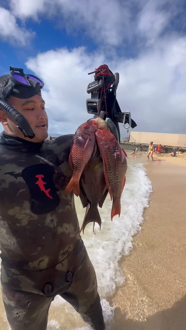 Post 4 by HeleMai Fishing Supply on Instagram (video)