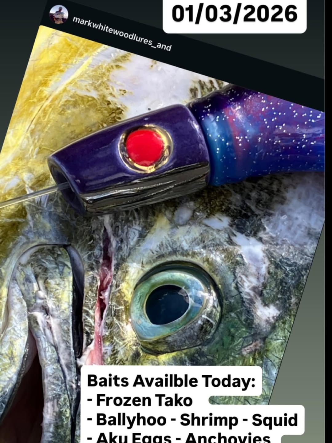 Post 3 by HeleMai Fishing Supply on Instagram (image)
