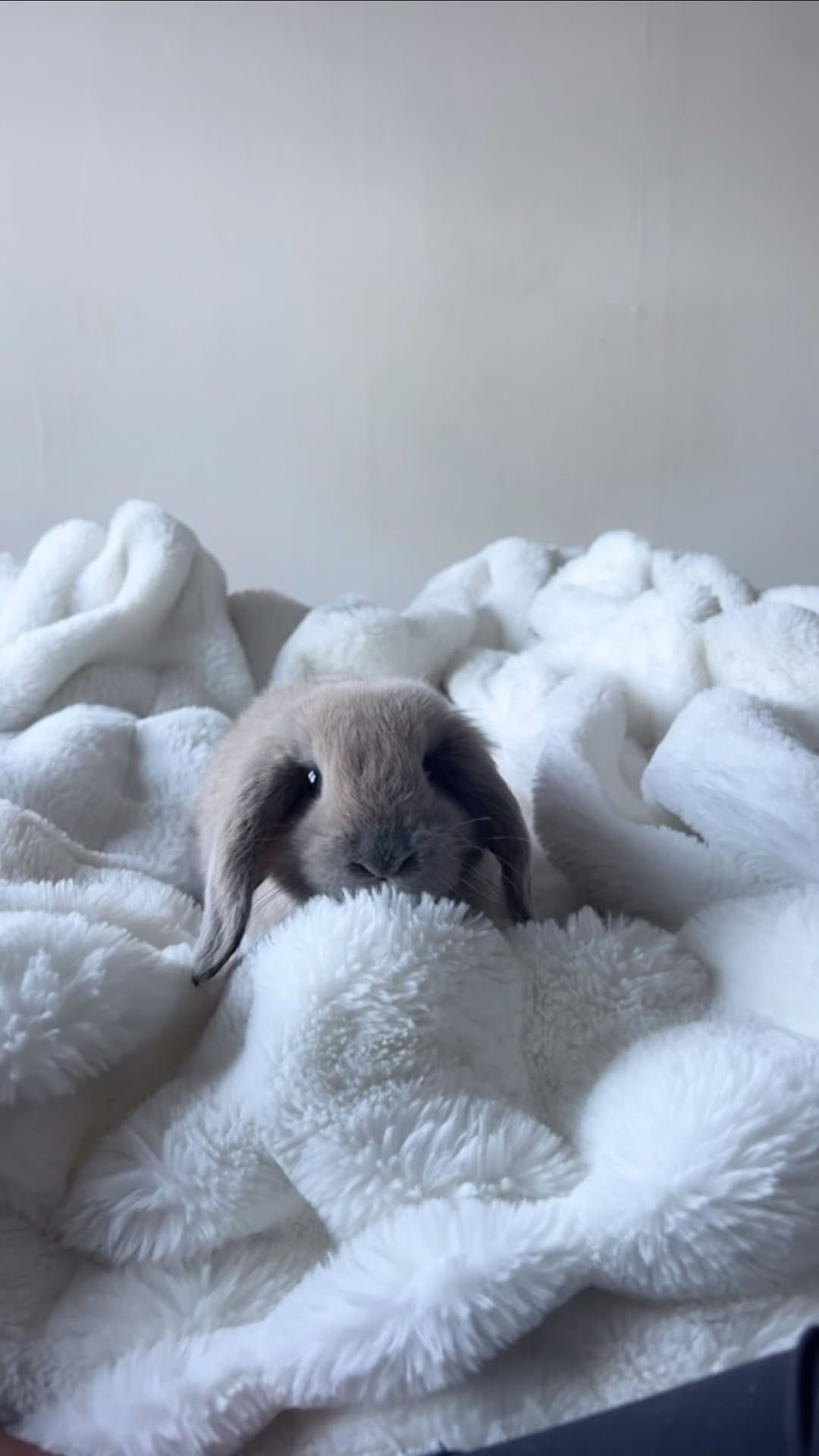 Post 4 by ANNA LEARNS THINGS on Instagram (video)