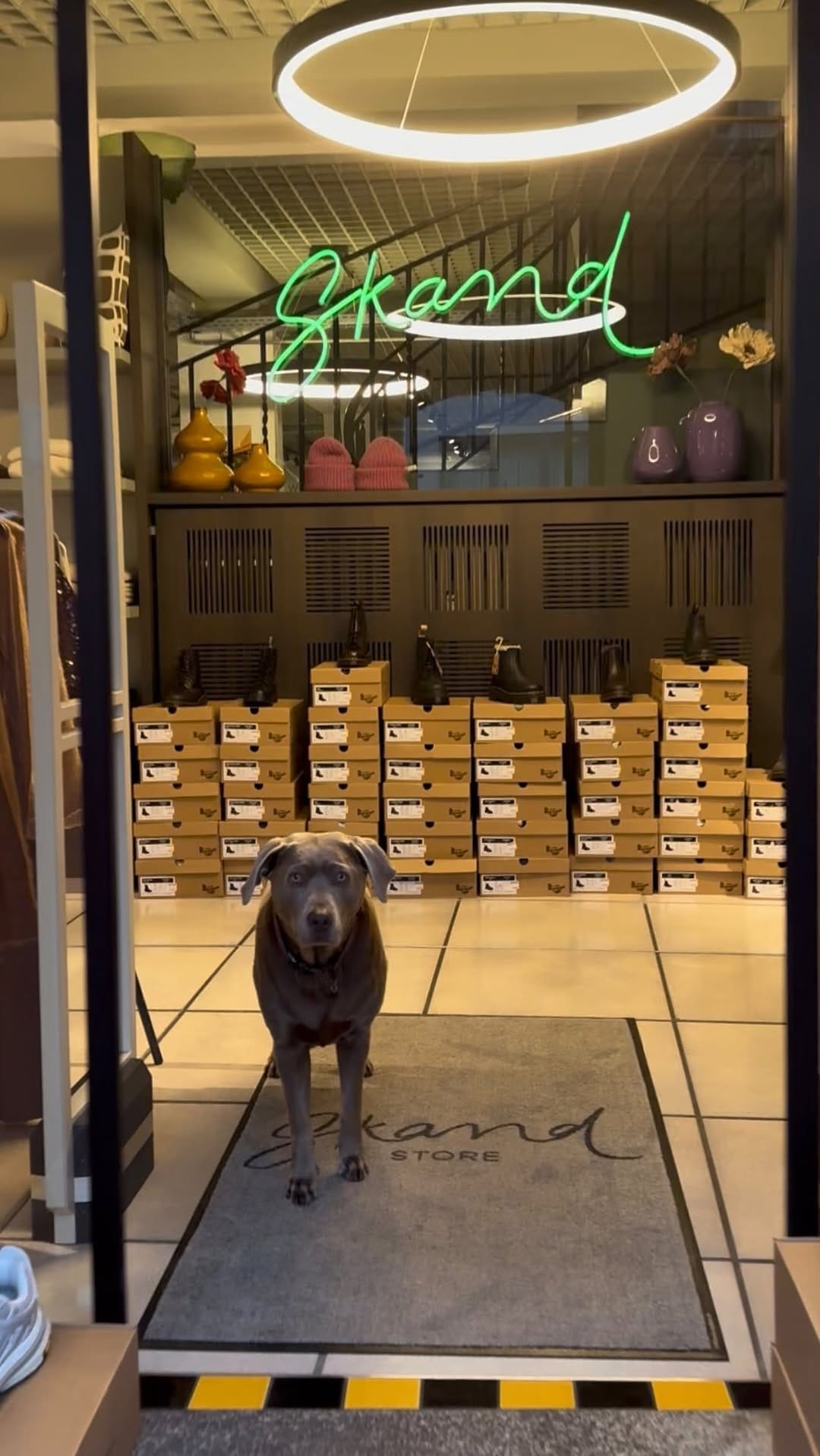 Post 8 by SKAND STORE on Instagram (video)