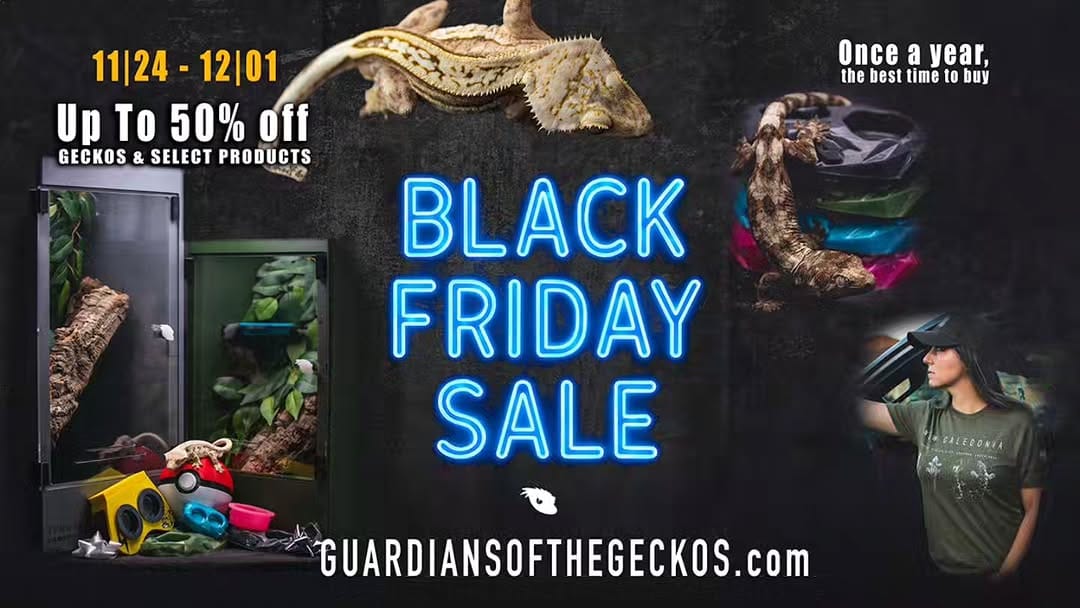 Post 6 by Guardians of the Geckos LLC on Instagram (image)