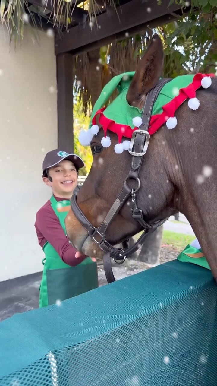 Post 7 by 𝐄𝐪𝐮𝐢𝐧𝐞 𝐂𝐨𝐧𝐟𝐞𝐜𝐭𝐢𝐨𝐧𝐬™ on Instagram (video)