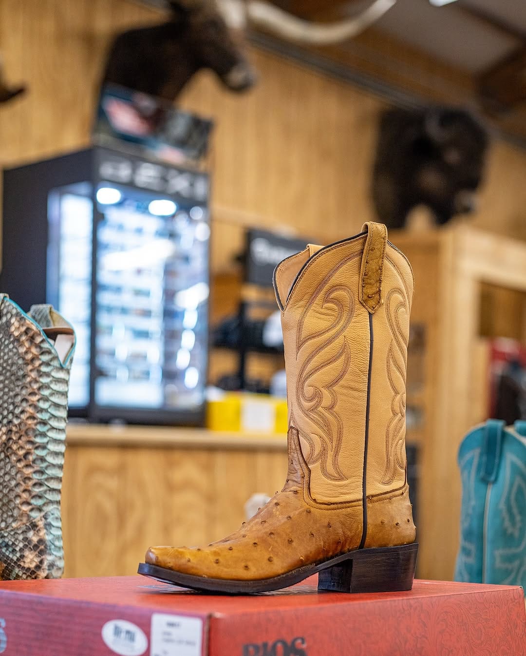 Post 6 by The Boot Store on Instagram (carousel)