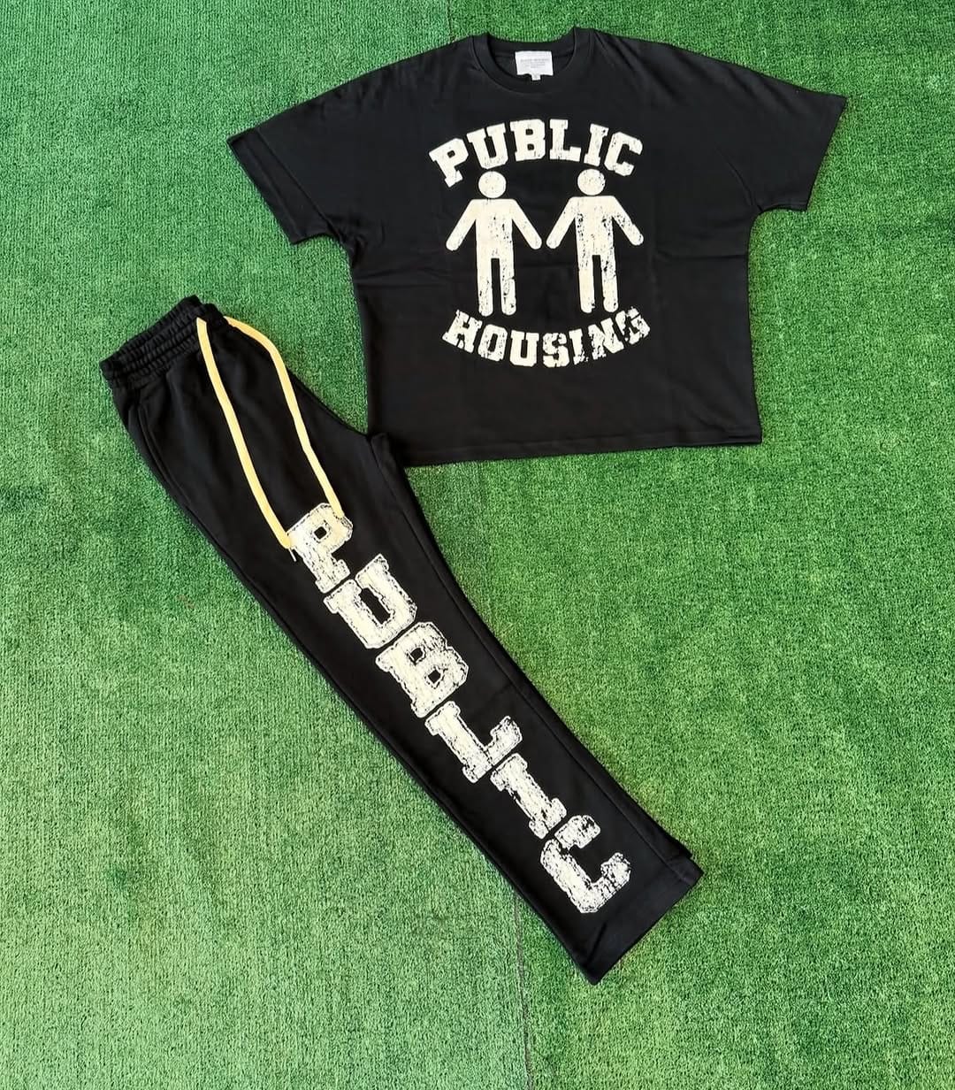 Post 9 by Public Housing Flagship♻️🏚️ on Instagram (image)