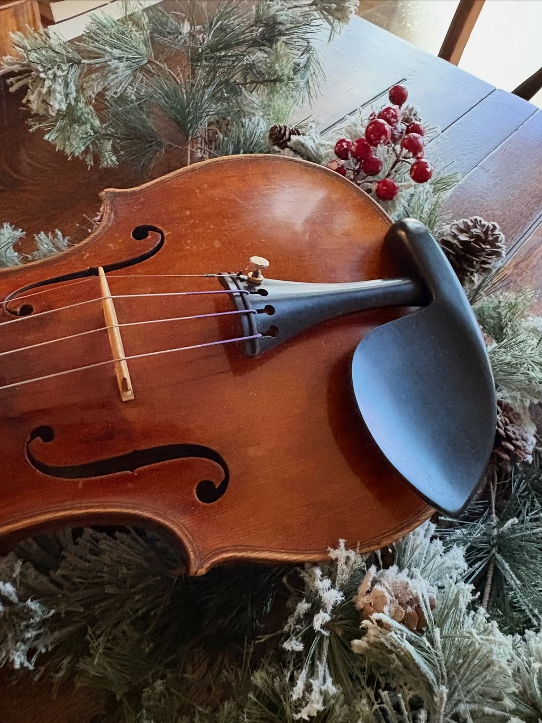 Post 9 by Fine Instrument Consulting - Violin Shop on Instagram (image)