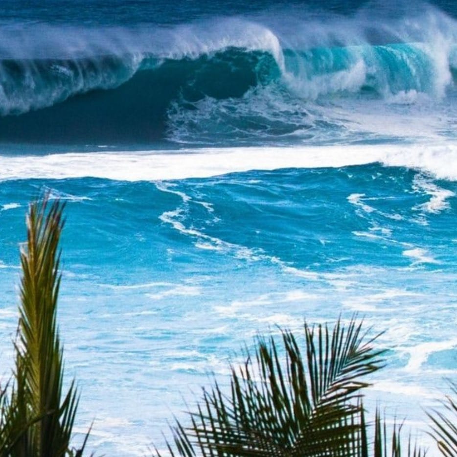 Post 10 by STUDIO nalu hawaiian spirit on Instagram (image)
