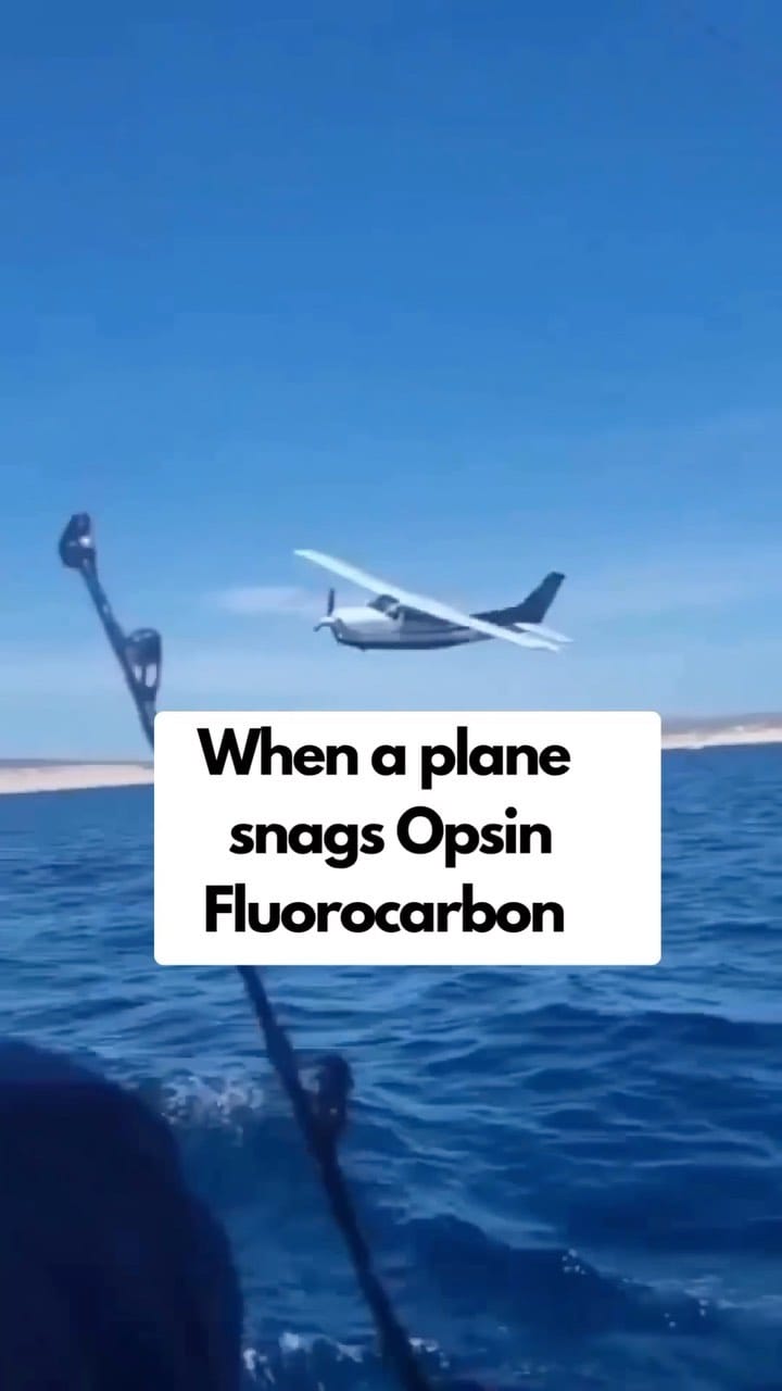 Post 9 by Fluorocarbon Fishing Line on Instagram (video)