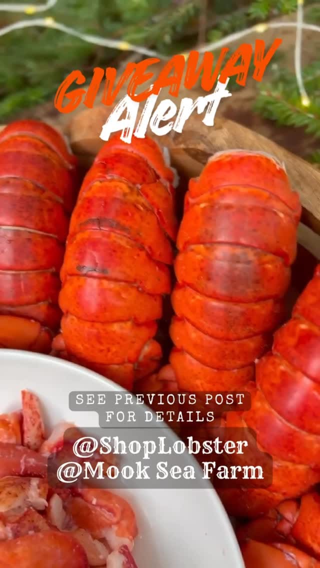 Post 8 by ShopLobster on Instagram (video)