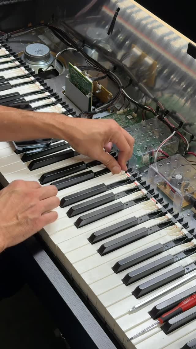 Post 6 by Alamo Music on Instagram (video)
