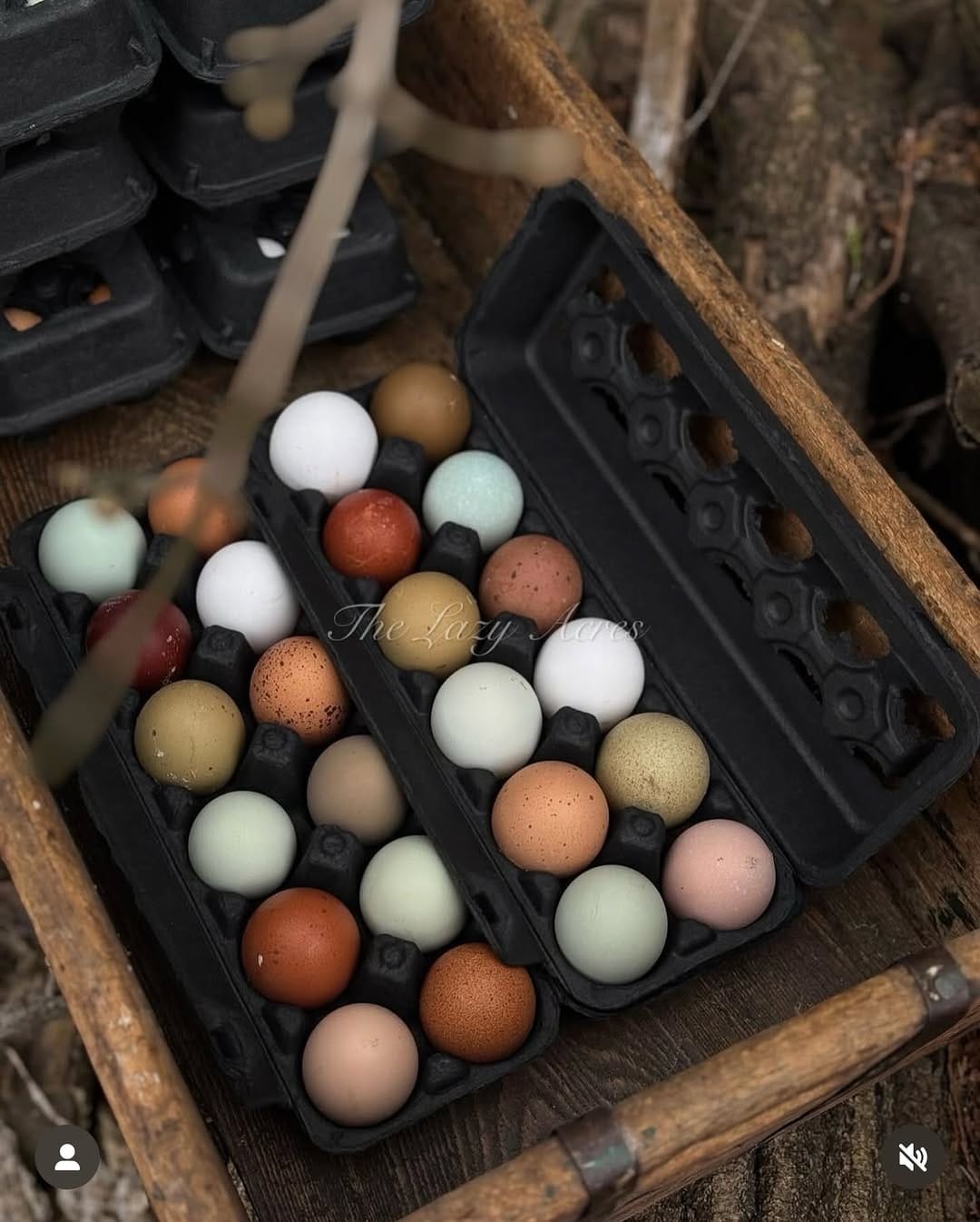 Post 4 by Poultry Cartons on Instagram (image)
