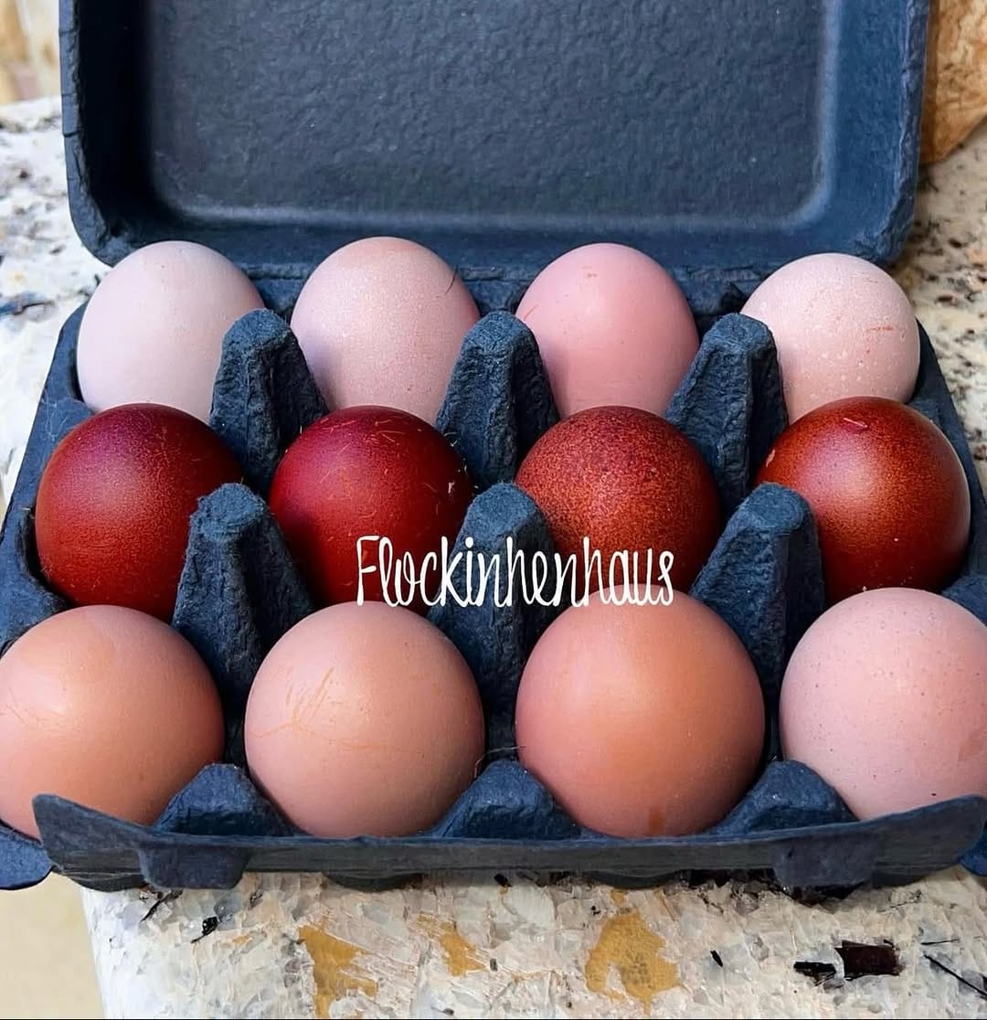 Post 7 by Poultry Cartons on Instagram (image)