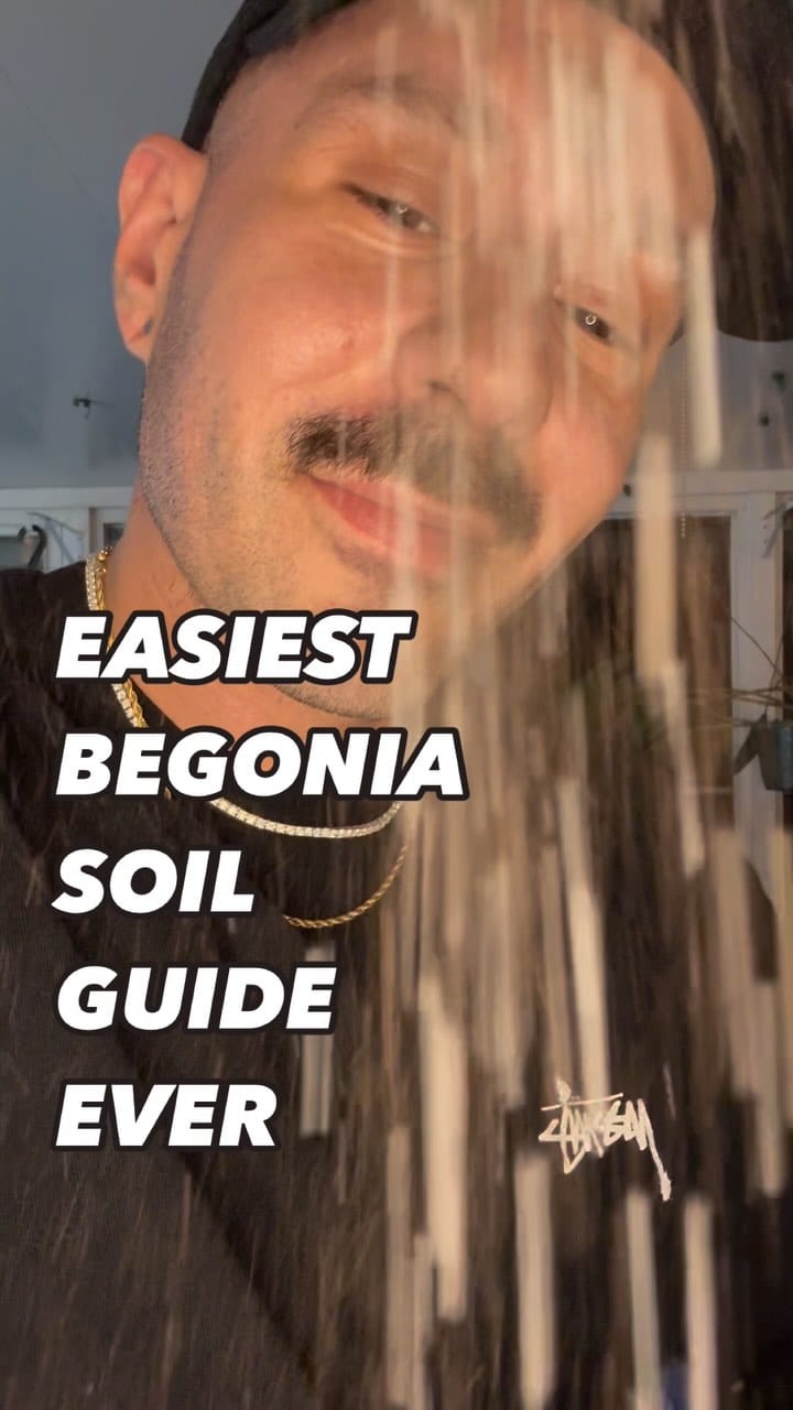 Post 10 by Bob’s Begonias on Instagram (video)
