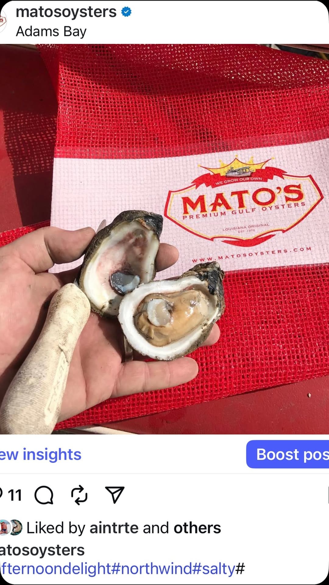 Post 6 by Mato's  Oysters on Instagram (video)